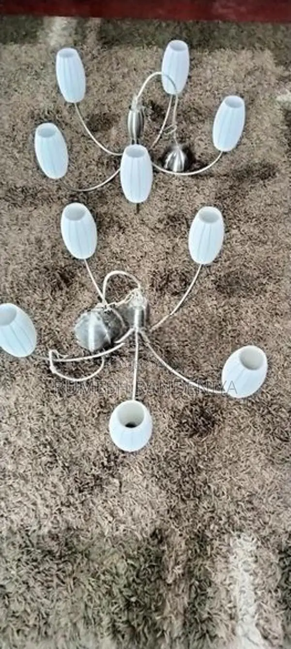 Ceiling Light