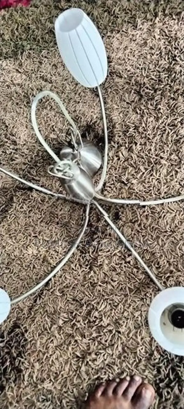 Ceiling Light