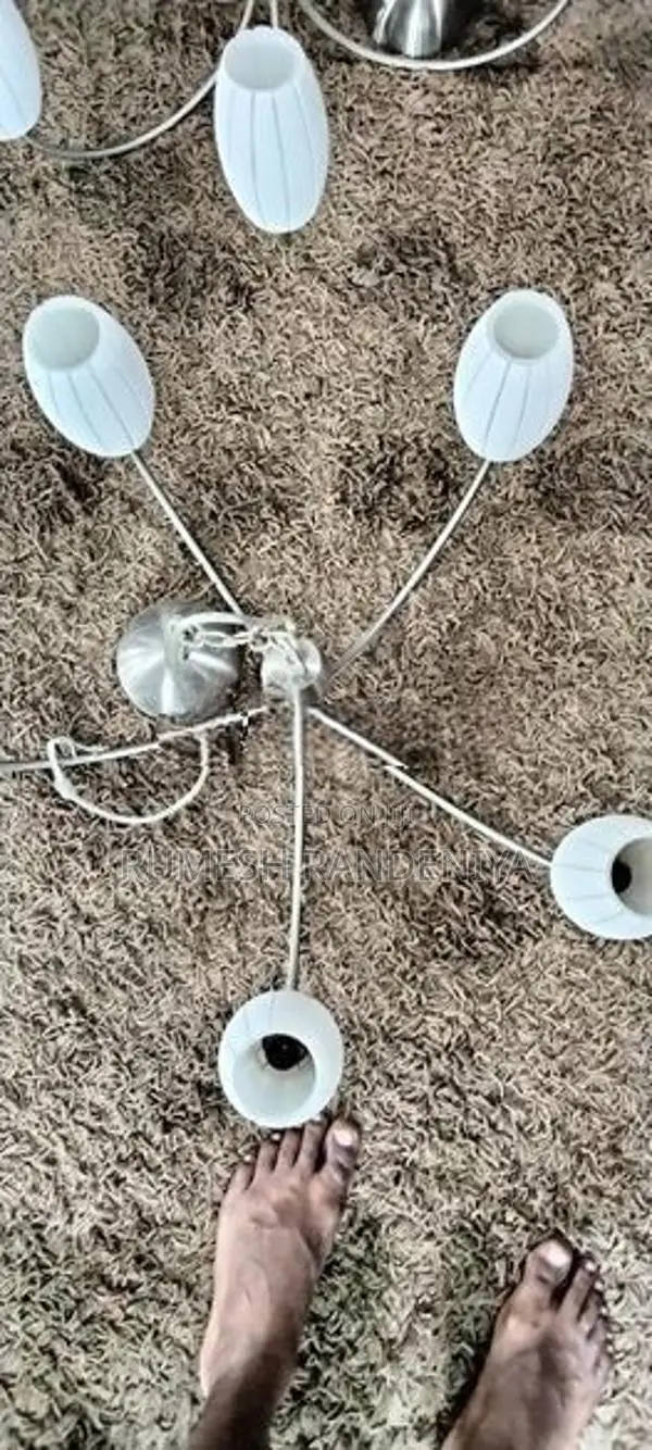 Ceiling Light