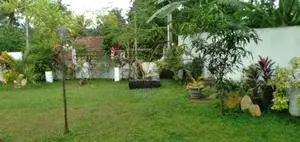 Superb Luxury 3 Story House Batagama North Ja Ela