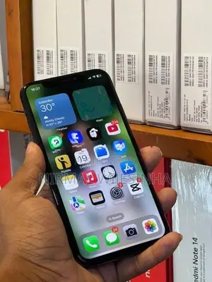 Apple iPhone X (Used)