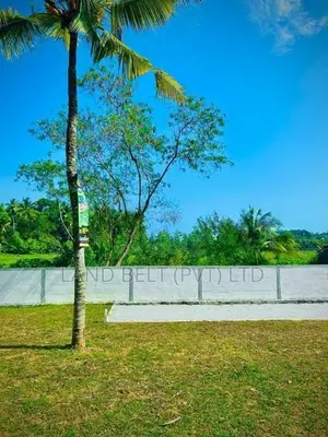 කොට්ටාවෙන් ඉඩමක්