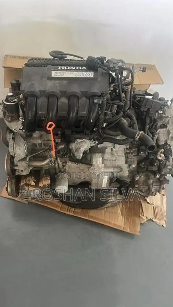 GP