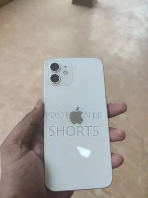 Apple iPhone 12 (Used)