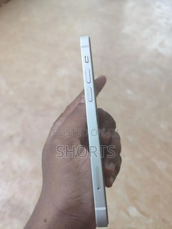 Apple iPhone 12 (Used)
