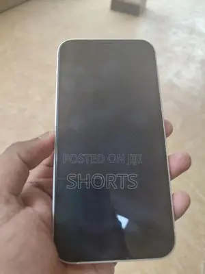 Apple iPhone 12 (Used)