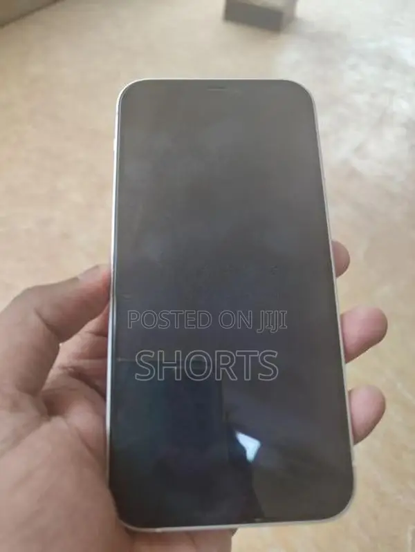 Apple iPhone 12 (Used)