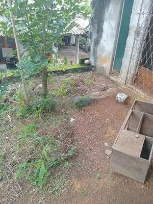 House for Sale Piliyandala Madapatha