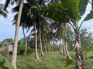 Land for Sale in Vavuniya