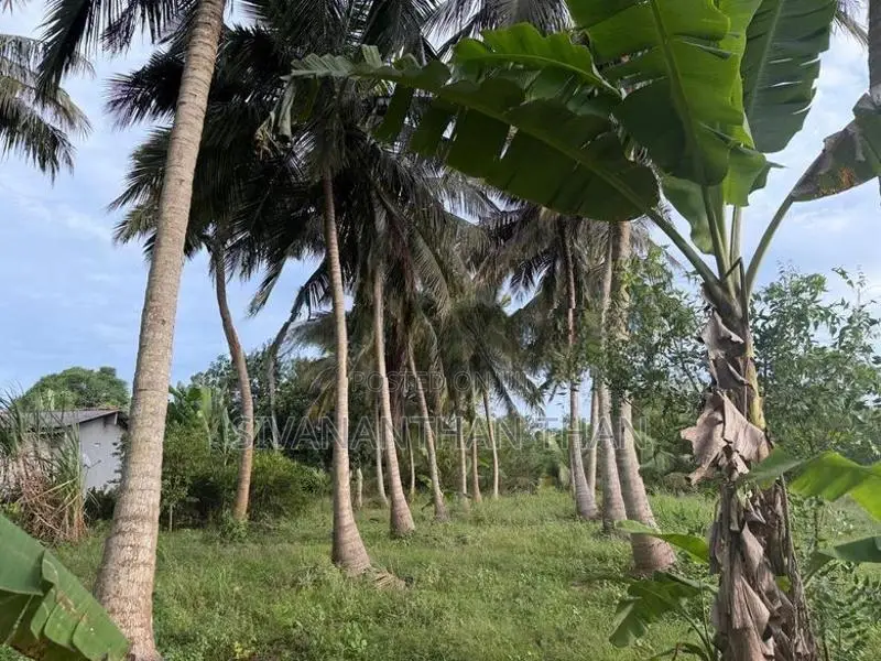 Land for Sale in Vavuniya