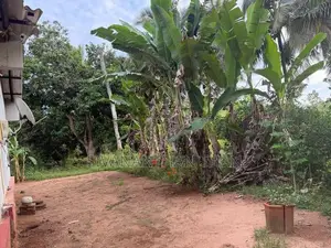 Land for Sale in Vavuniya