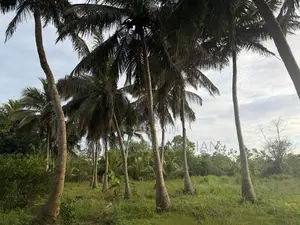 Land for Sale in Vavuniya