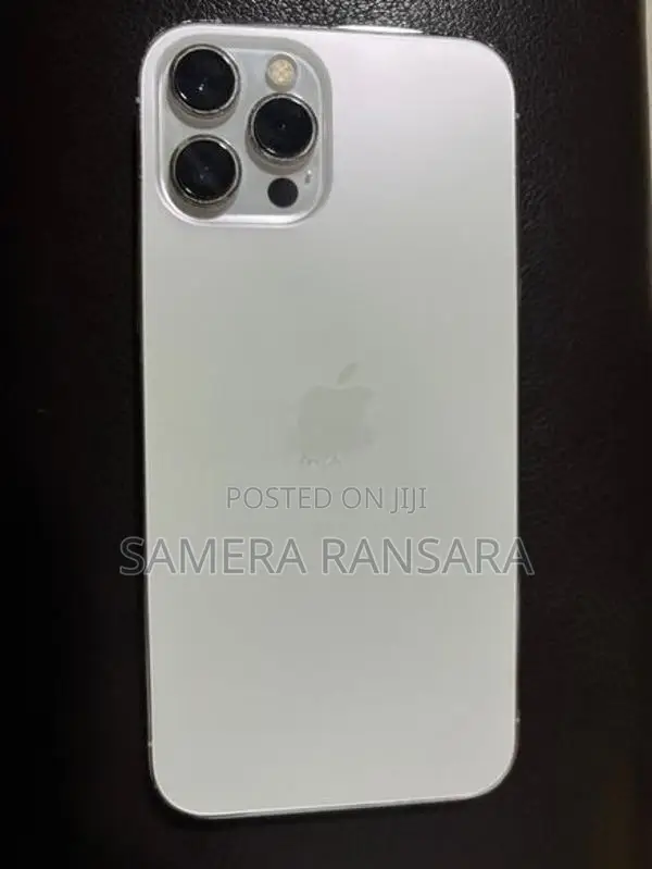 Apple iPhone 12 Pro Max (Used)