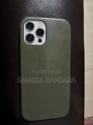Apple iPhone 12 Pro Max (Used)