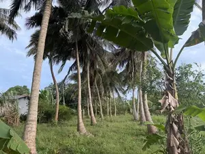 Land for Sale in Vavuniya