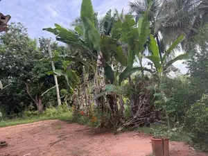 Land for Sale in Vavuniya