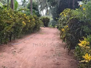 Land for Sale in Vavuniya