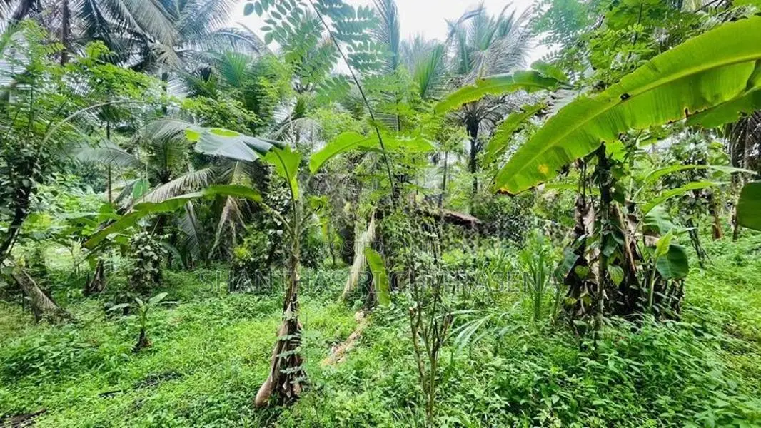 Valuable Land in Kirindiwela