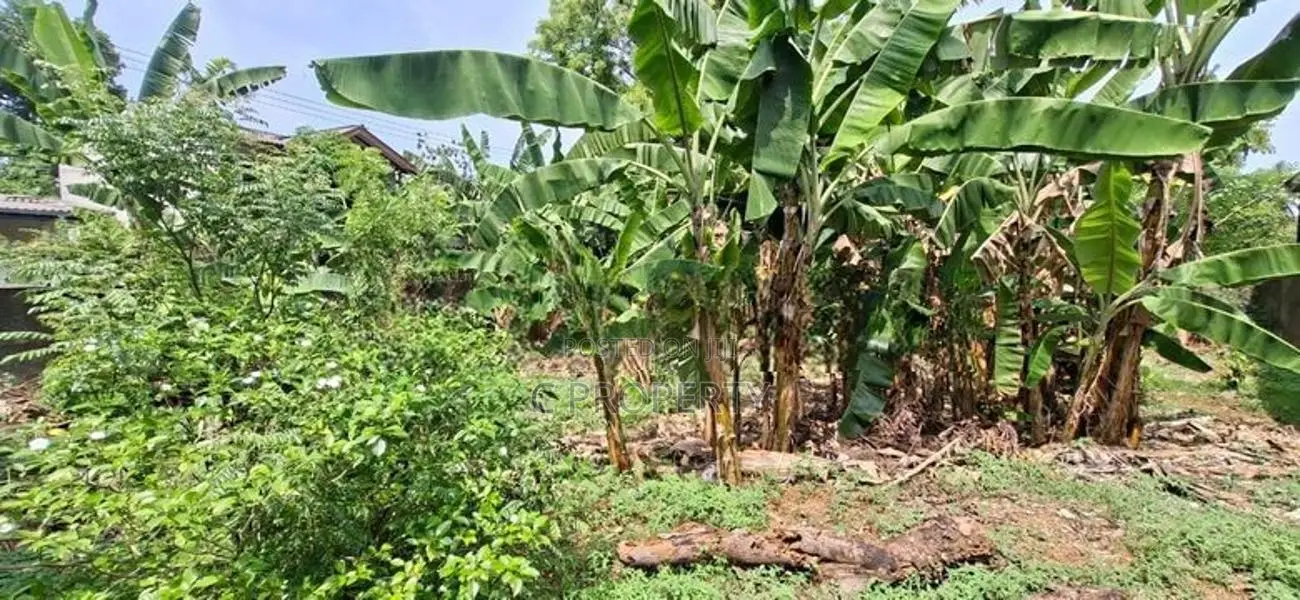 Land for Sale Boralesgamuwa Abagahapura