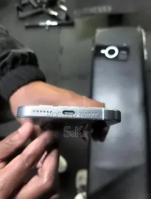 Apple iPhone 16 Pro Max (Used)