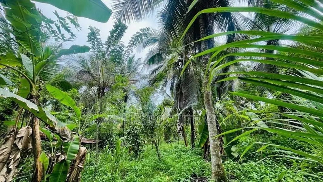Valuable Land in Kirindiwela