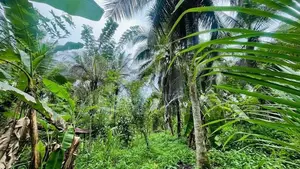 Valuable Land in Kirindiwela