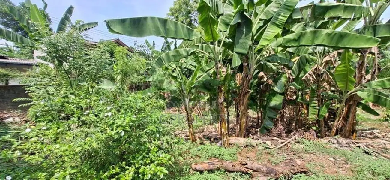 Land for Sale Boralesgamuwa Abagahapura
