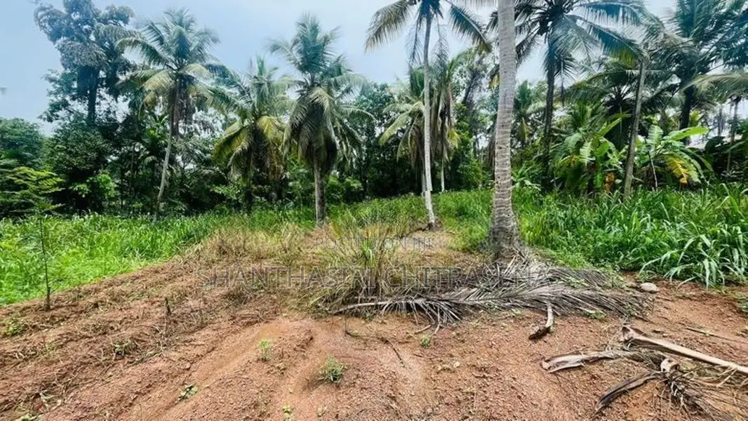 Valuable Land in Kirindiwela