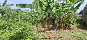 Land for Sale Boralesgamuwa Abagahapura