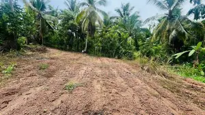 Valuable Land in Kirindiwela