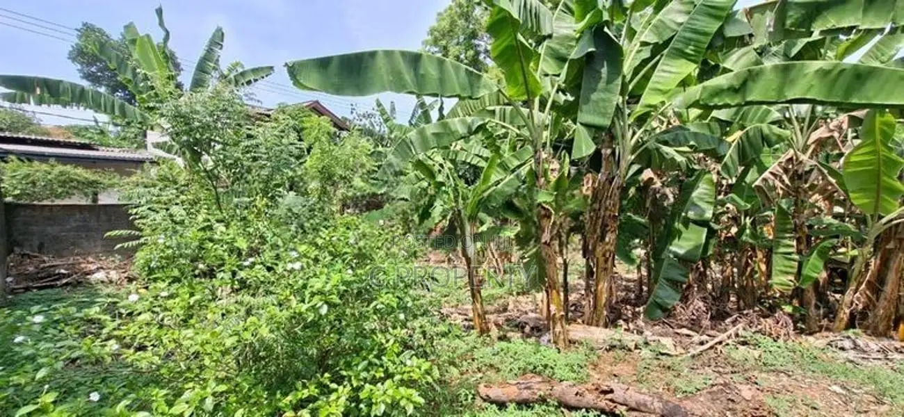 Land for Sale Boralesgamuwa Abagahapura