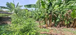Land for Sale Boralesgamuwa Abagahapura