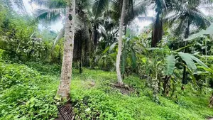 Valuable Land in Kirindiwela