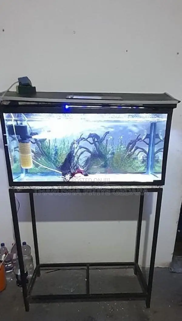 Fish Tank With Equipment