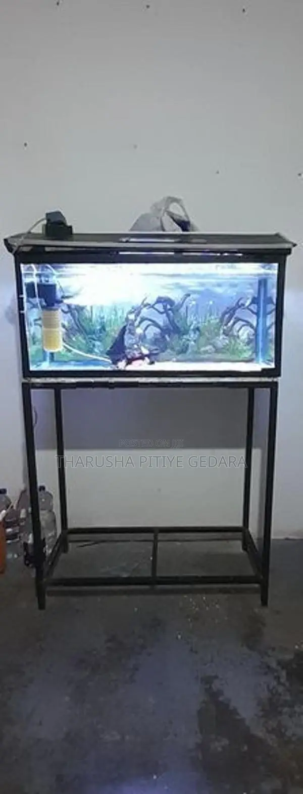 Fish Tank With Equipment