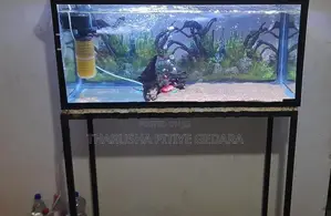 Fish Tank With Equipment