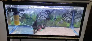 Fish Tank With Equipment