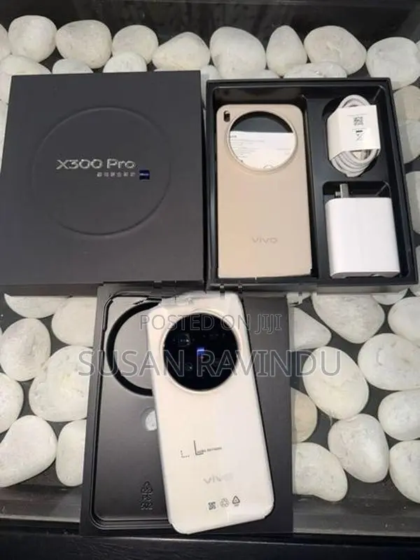 Vivo X300 Pro (Used)
