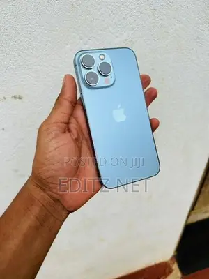 Apple iPhone 13 Pro (Used)