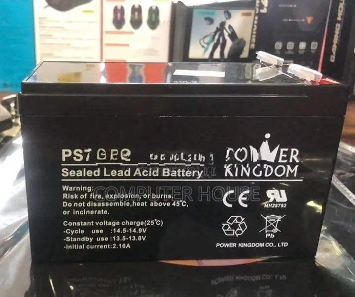 Power Kingdom 12 UPS Battery