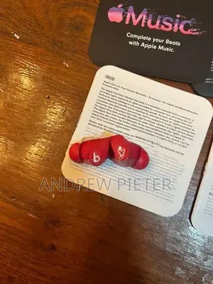 Beats Studio Buds