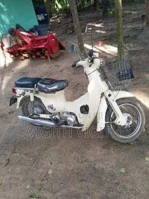 Honda Little Cub 2017