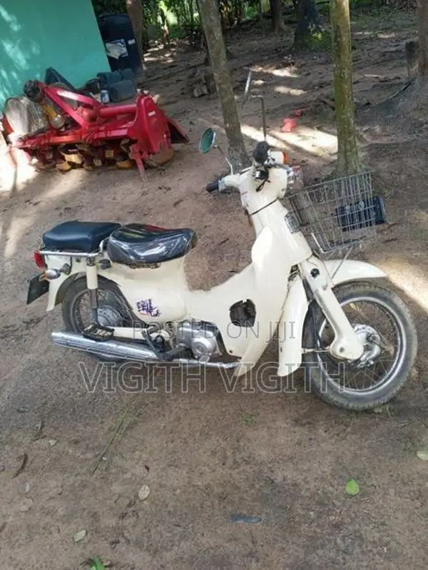Honda Little Cub 2017