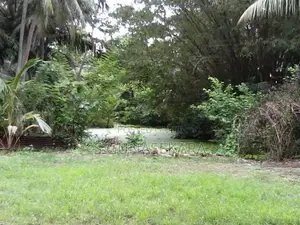 Land for Sale in Hikkaduwa