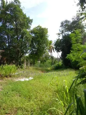 80 Perched Land With House For Rent Boralesgamuwa