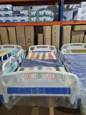 Four Function Manual Beds with Sanitory