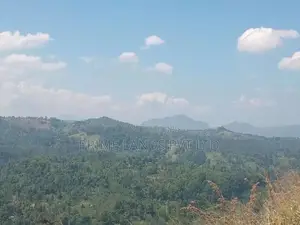 Land Sale in Nilambe
