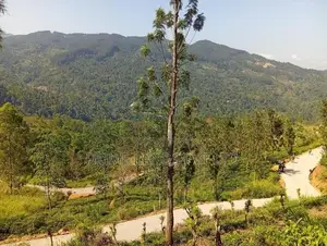 Land in Nilamba