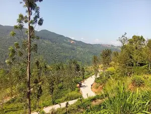 Beautiful Land In Peradeniya Nilamba