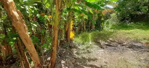 Land for Sale Boralesgamuwa Abagahapura